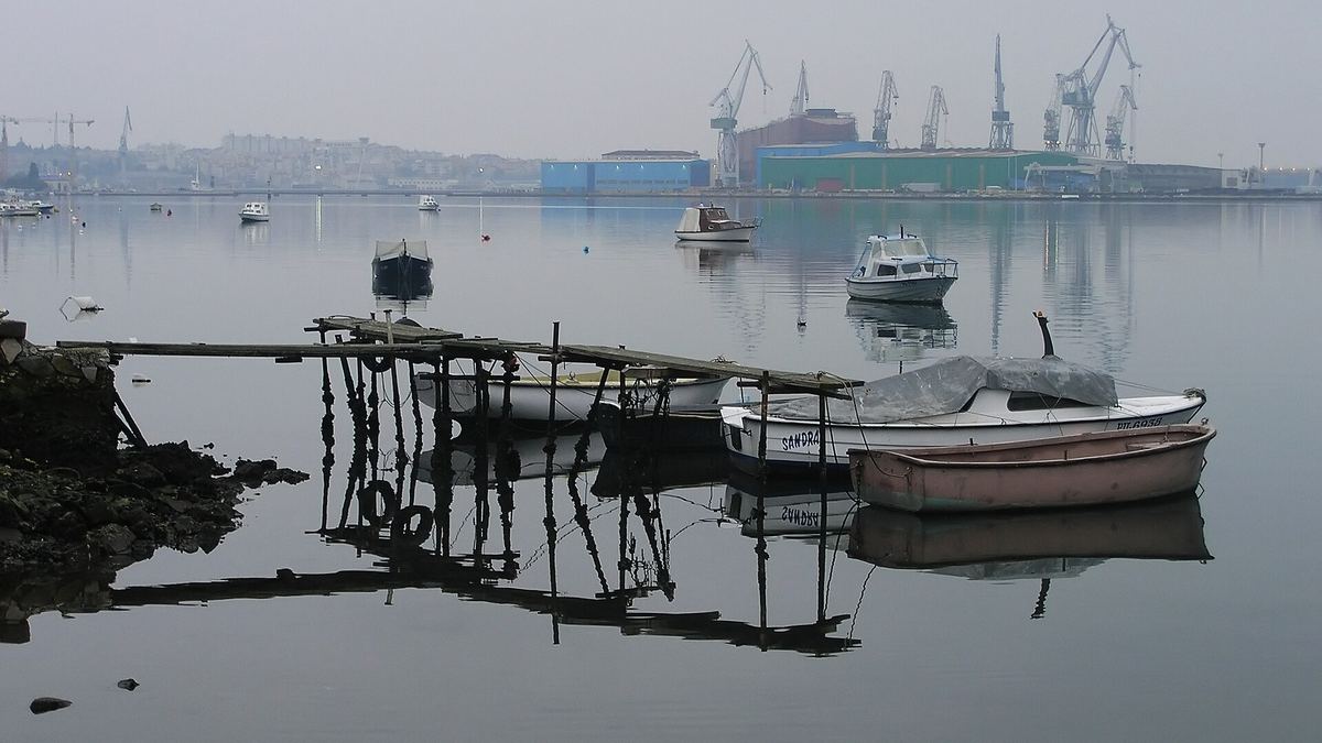 Pulska luka